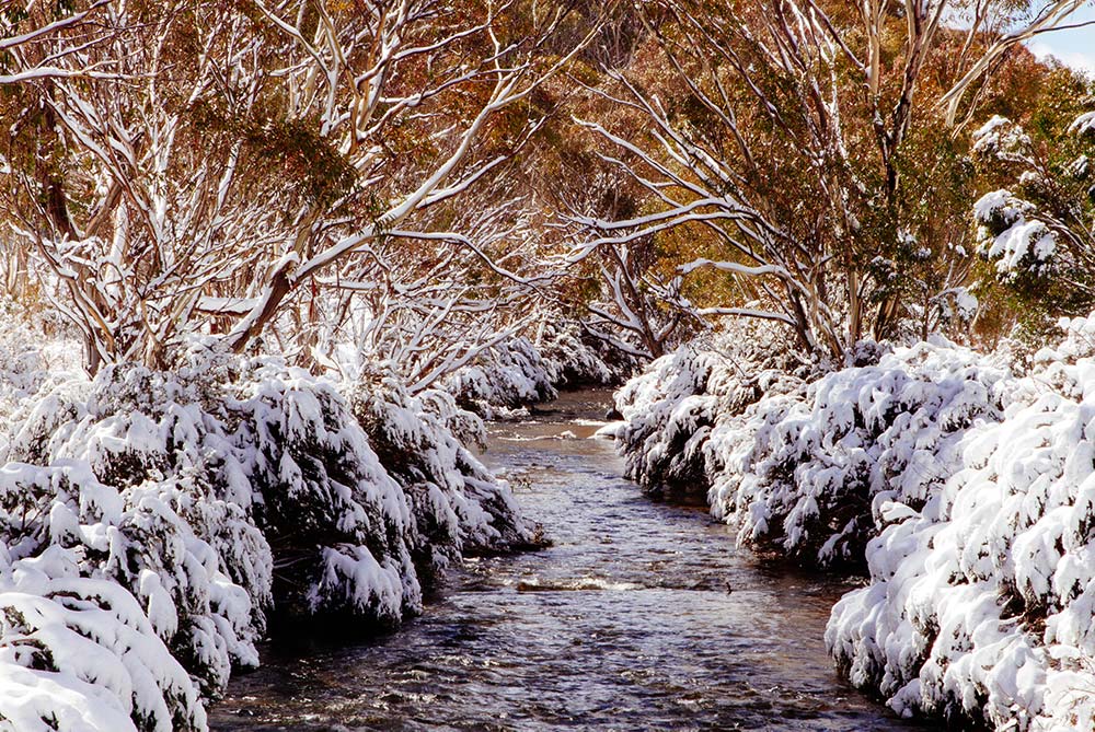 Christmas River - Thredbo, NSW