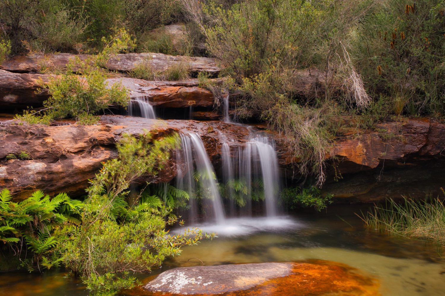 Cascades - Uloola Falls, NSW