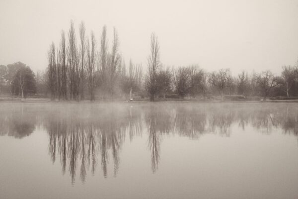 Hazy Day