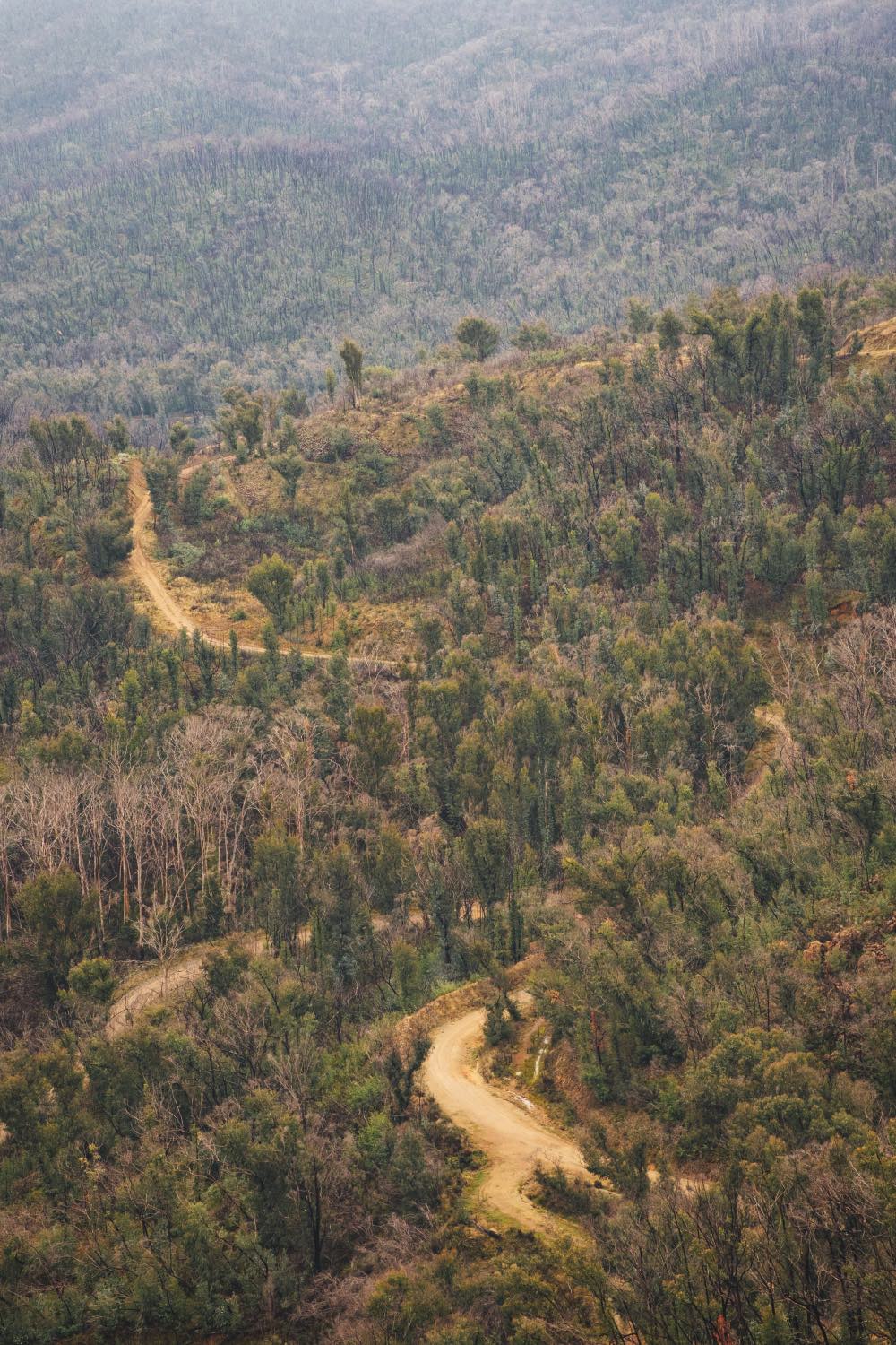 Mountain Road